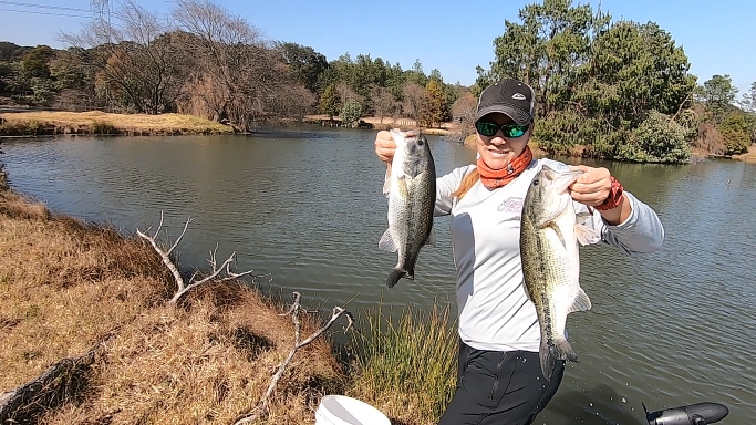 Captura de pantalla (761).png Captura de pantalla (761).png